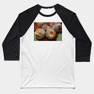 Tomatillos Baseball T-Shirt